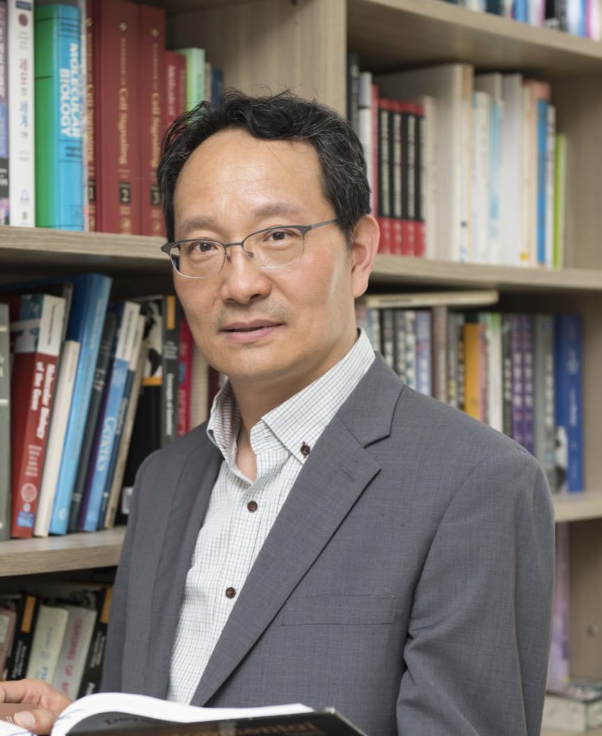 Yong-Pil Cheon